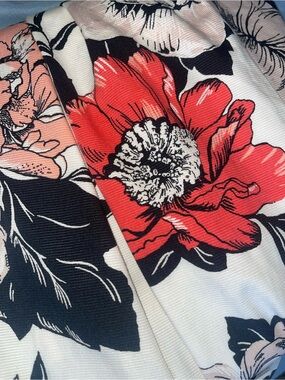 Ann Taylor Factory Cream Dress with Red and Black Floral Accents